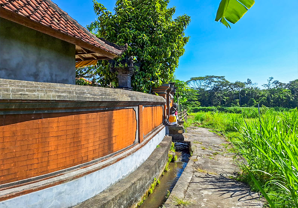 RUMAH DI KAB. GIANYAR - WOFF5110-1 - foto 4